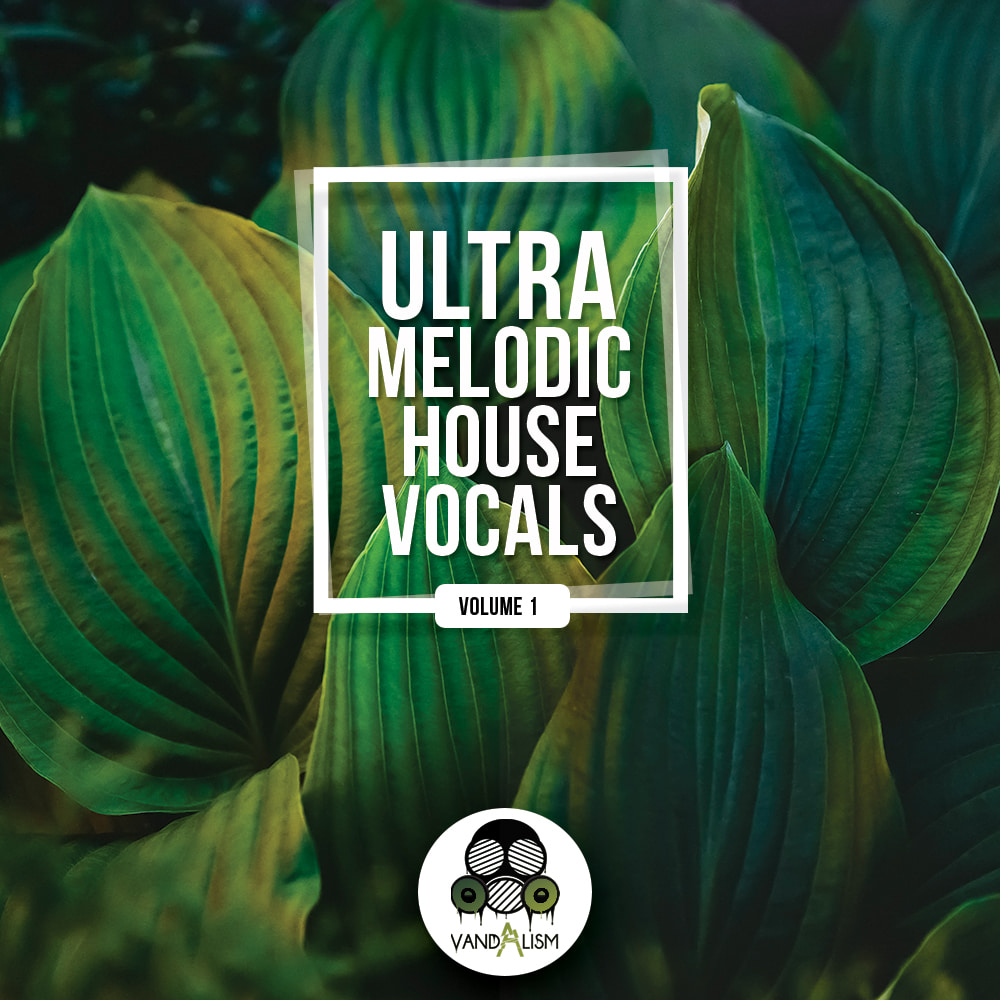 Melodic House Vocals