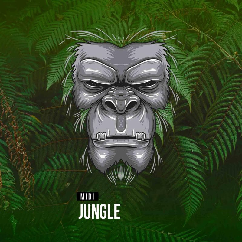 Jungle