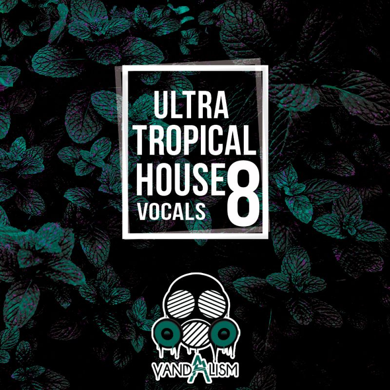Tropical House Vocals 8