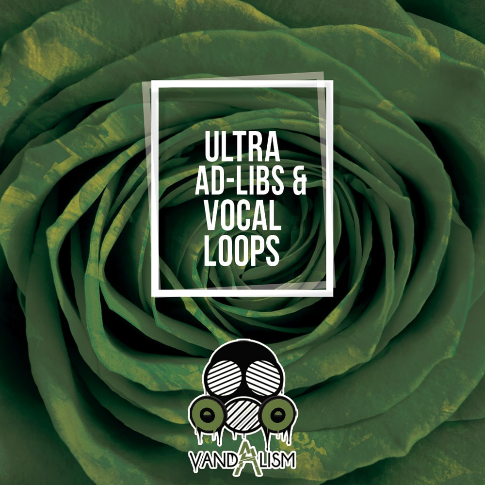 Ad-Libs & Vocal Loops