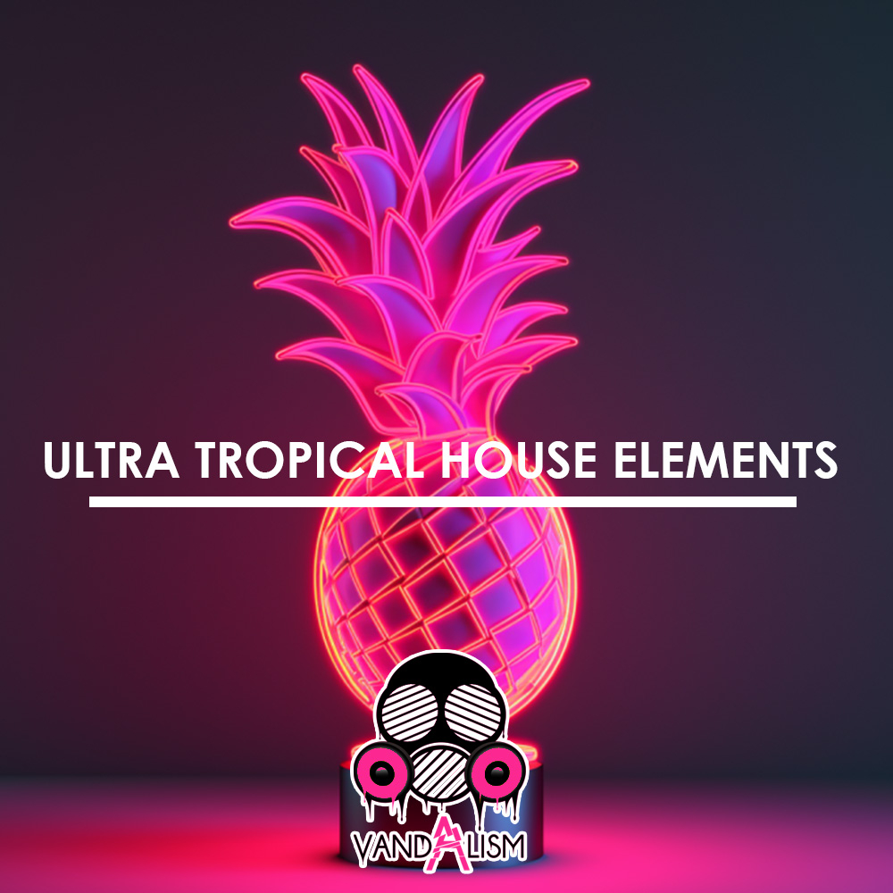 Tropical House Elements