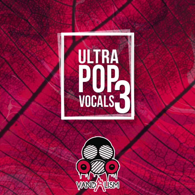 Pop Vocals 3