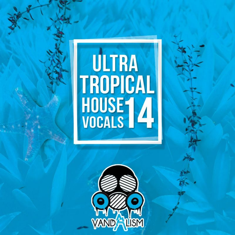 Tropical House Vocals 14