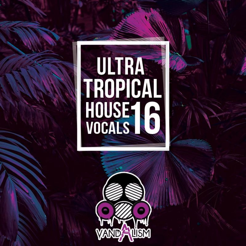 Tropical House Vocals 16
