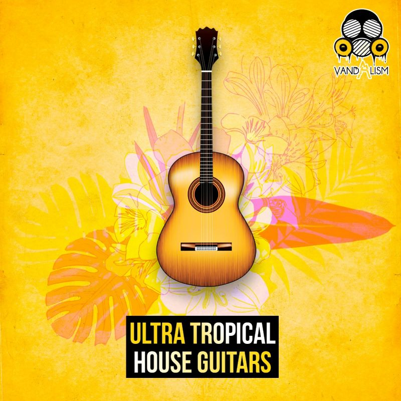 Tropical House Guitars