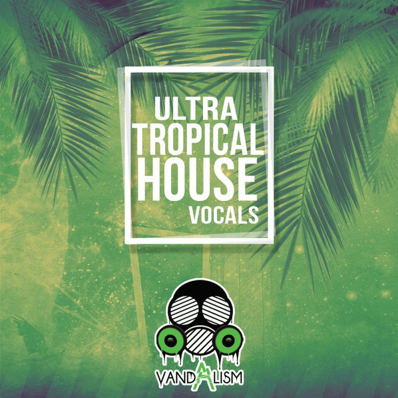 Tropical House Vocals