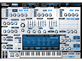 A.N.A. Presets
