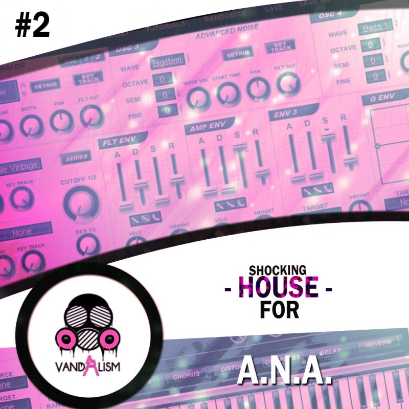 Shocking House For ANA vol.2