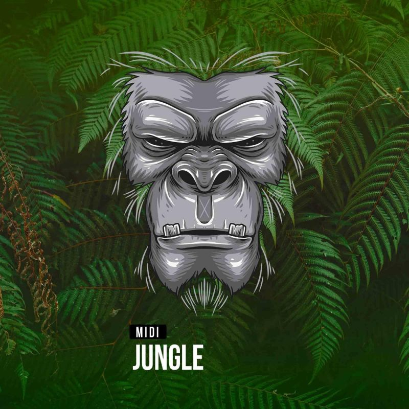 MIDI: Jungle