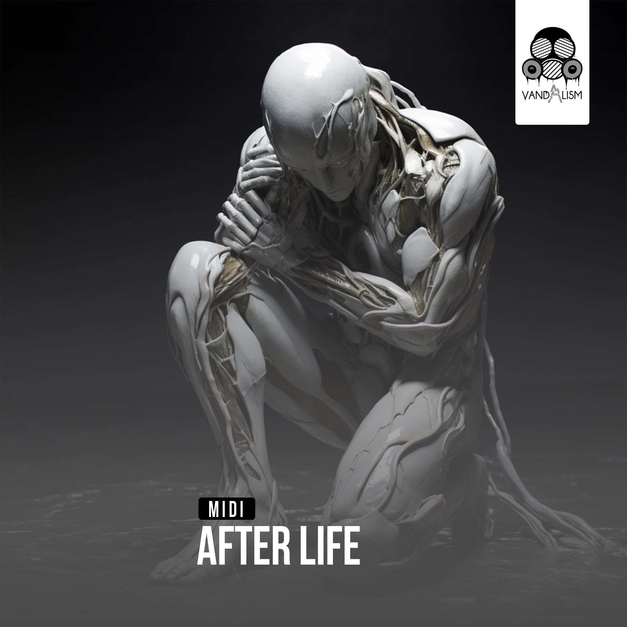 MIDI: After Life