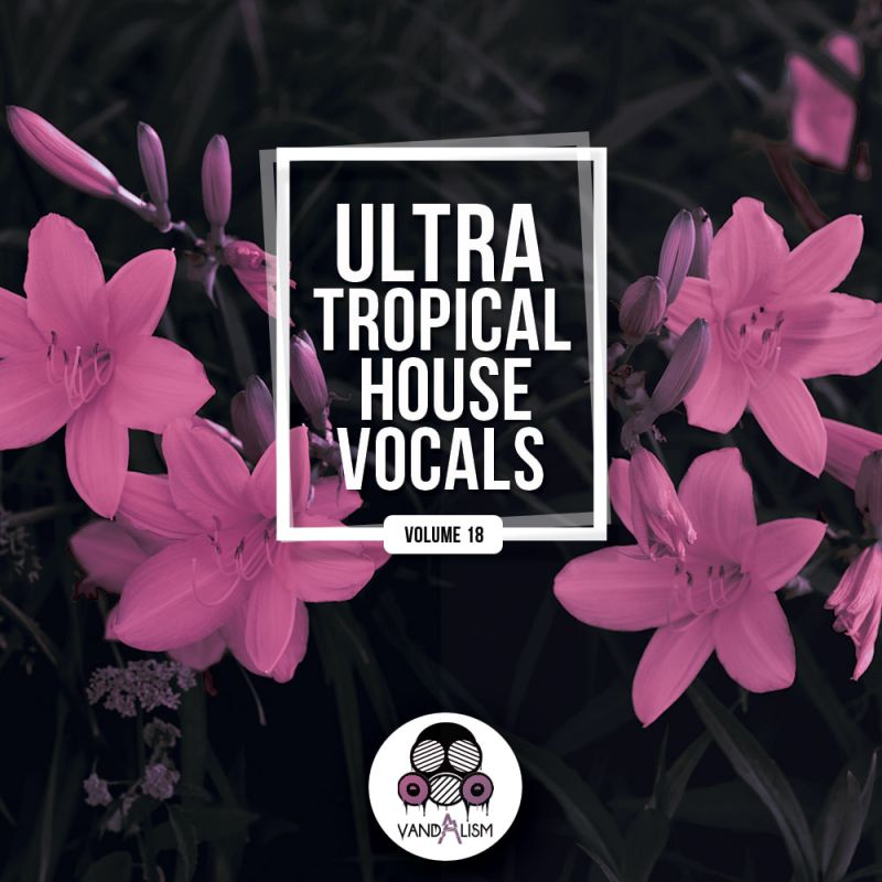 Ultra Tropical House Vocals 18